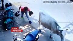 Bank Robbery: ফরাক্কায় বেসরকারি ব্যাঙ্কে ডাকাতির ঘটনায় গ্রেফতার ৩ দুষ্কৃতী।Bangla News