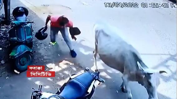 Bank Robbery: ফরাক্কায় বেসরকারি ব্যাঙ্কে ডাকাতির ঘটনায় গ্রেফতার ৩ দুষ্কৃতী।Bangla News