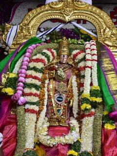 Madurai Chithirai Festival Album : மீனாட்சி சுந்தரேஸ்வரர் திருக்கல்யாணம்.. மதுரை சித்திரைத் திருவிழா சிறப்பு ஆல்பம்..!