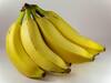Banana benefits : ...म्हणून केळ्यांमध्ये कीटक आढळत नाहीत; जाणून घ्या खरं कारण