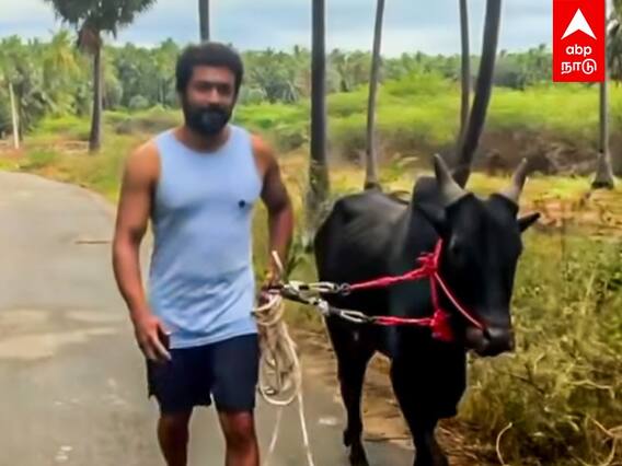 Surya Vadivasal | காளையுடன் புத்தாண்டு வாழ்த்து சொன்ன சூர்யா..வைரல் வீடியோ