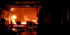 Fire In Andhra Pradesh Factory: আগুনের গ্রাসে কারখানা, প্রাণ হারালেন ৬ জন