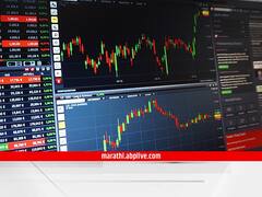 Share Market: शेअर बाजारातील मल्टिबॅगर