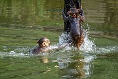 Delhi News: रिकॉर्डतोड़ गर्मी ने किया बेहाल, जानिए कब मिल सकती है तपती लू और गर्मी से राहत