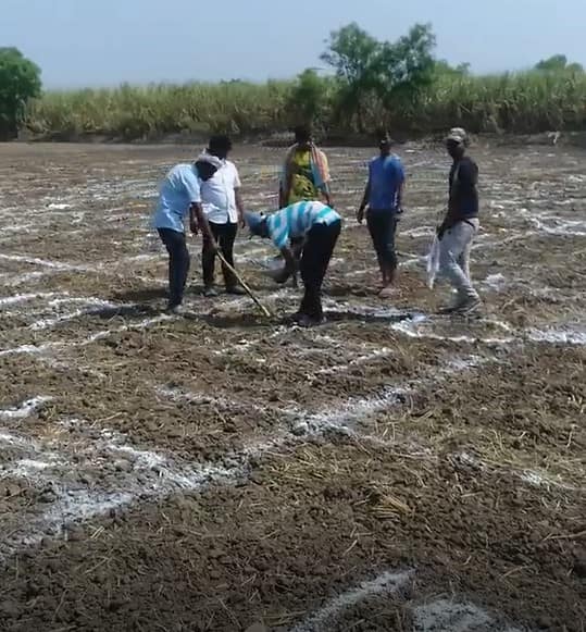 बीएम प्रतिष्ठानचे अध्यक्ष बाळासाहेब मस्के यांच्या संकल्पनेतून हे रेखाचित्र साकारण्यात आले असून मार्च महिन्यातच या रेखाचित्राची आखणी करून या ठिकाणी गव्हाची पेरणी करण्यात आली होती .