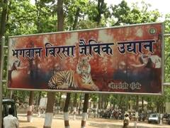 Jharkhand News: रांची के चिड़ियाघर में फैला जानलेवा वायरस, एक महीने में हुई सात लोमड़ियों की मौत