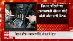 Neelam Gorhe convened by Meeting: विठ्ठल-रुक्मिणी मूर्तींच्या झीज प्रकरणी तातडीची बैठक