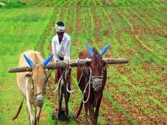 e-NAM Portal: किसानों का ऑनलाइन ट्रेडिंग प्लेटफॉर्म है e-NAM, जानिए इस पोर्टल पर कैसे कर सकते हैं रजिस्ट्रेशन