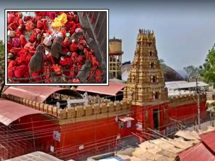 Jagityala district Hanuman temple Jayanti Utsavas devotees rush increasing Kondagattu Hanuman Jayanti : కొండగట్టులో వైభవంగా హనుమాన్ జయంతోత్సవాలు, భారీగా తరలివస్తున్న భక్తులు