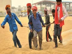 Paddy Procurement: నేటి నుంచి తెలంగాణలో వడ్ల కొనుగోళ్లు - టార్గెట్ ఎంతో తెలుసా?