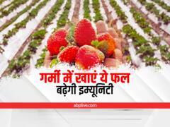 गर्मी में खाएं विटामिन सी से भरपूर ये फल, बढ़ाएं अपनी इम्यूनिटी