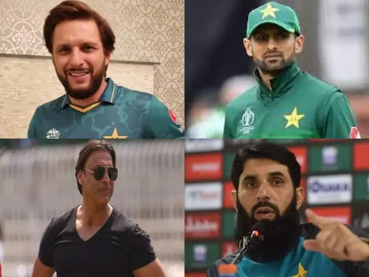 ipl in the first season these pakistani cricketers performed good know how much afridi and akhtar were sold for IPL : पहिल्याच हंगामात पाकिस्तानी खेळाडूंची धमाल, पाहा किती रुपयांना घेतलं होतं विकत 