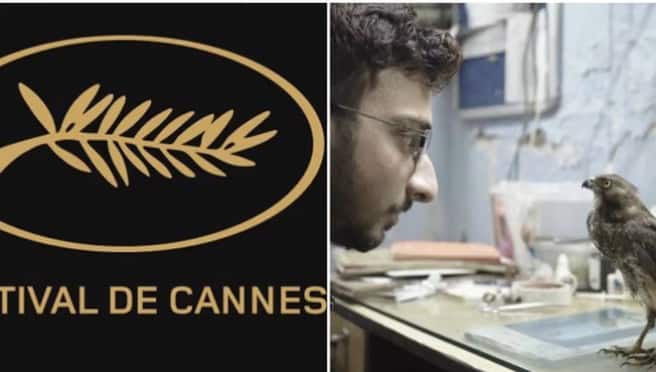 A special screening of the Indian documentary 'All That Breathes' will be held at Cannes Film Festival Cannes Film Festival 2022 : 'कान्स फिल्म फेस्टिव्हल'मध्ये 'All That Breathes' या भारतीय माहितीपटाचे होणार विशेष स्क्रीनिंग