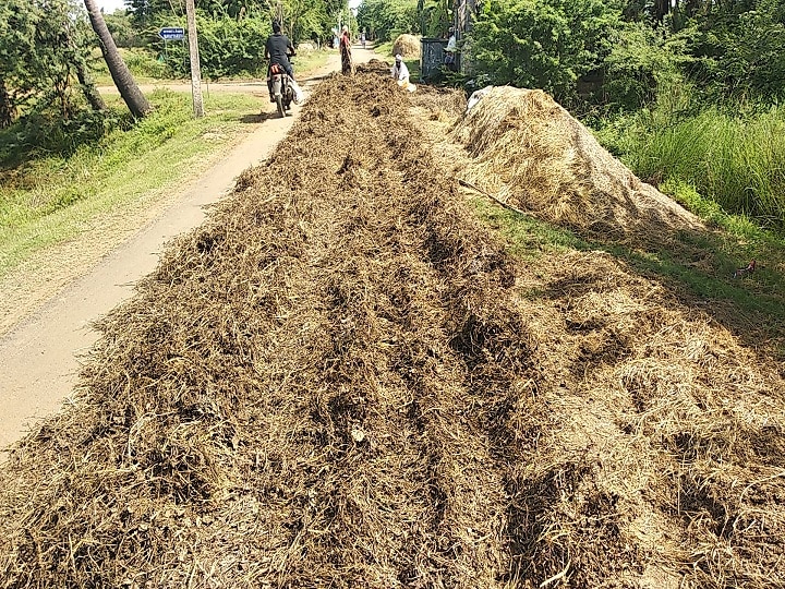 திருவாரூரில் தொடர் மழை - முளைக்கத்தொடங்கிய உளுந்து பயிர்கள்...! ஏக்கருக்கு 10,000 வீண்