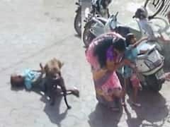 Madhya Pradesh News: मध्य प्रदेश में आवारा कुत्ते ने मासूम पर किया हमला, घायल बच्ची अस्पताल में भर्ती