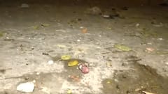 Delhi: जहांगीरपुर इलाके में पथराव में पुलिसकर्मी समेत कई लोग घायल, मौके पर भारी पुलिस बल तैनात