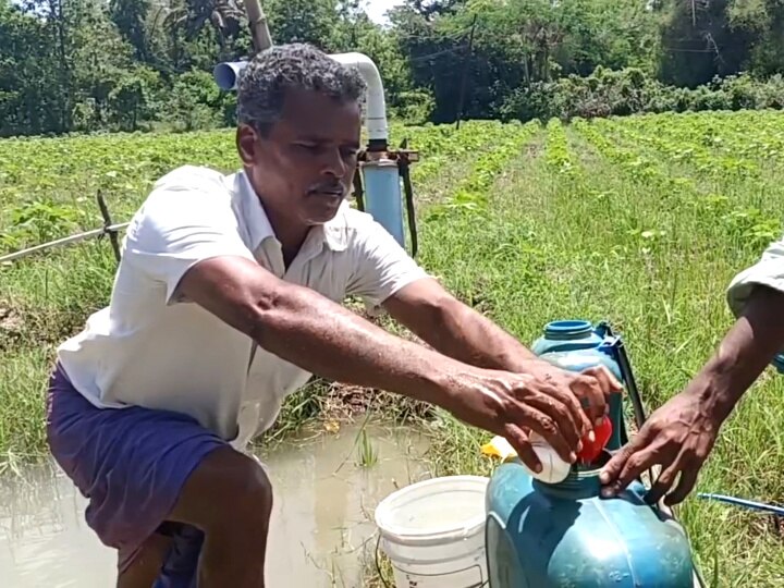 மயிலாடுதுறை மாவட்டத்தில் கடும் உரம் தட்டுப்பாடு - பருத்தி விவசாயிகள் கவலை