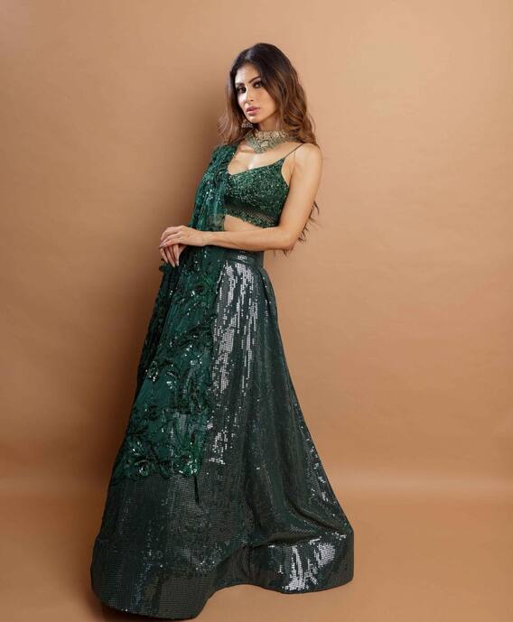 Mouni Roy: Mouni Roy's Royal Guess, See New Photoshoot