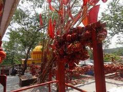 Hanuman Jayanti 2022: एमपी के सिंगरौली में है ऐसा अनोखा मंदिर, जहां हनुमान जी की पूजा के पहले दी जाती है नारियल की बलि, देखें तस्वीरें