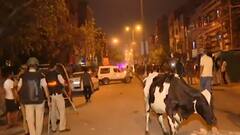 जहांगीरपुरी में हनुमान जयंती शोभायात्रा में पथराव के बाद गाजियाबाद-नोएडा में अलर्ट