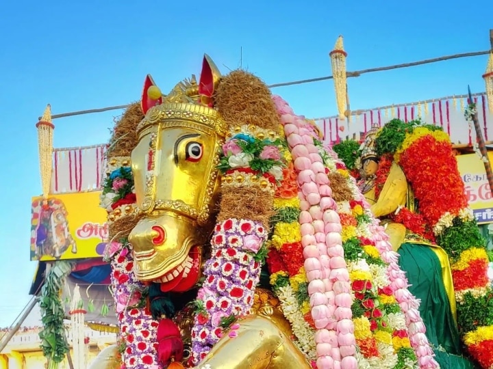 Madurai Kallazhagar :  கள்ளழகரை குளிர்விக்கும் தீர்த்தவாரி நிகழ்வு.. கோலாகல கொண்டாட்டம்!!