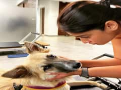 Ileana D'Cruz Photos: ఇల్లీబేబీ సూసైడ్ చేసుకోవాలనుకోవడం వెనుకున్న కారణం ఇదేనా