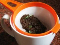 MP News: जबलपुर में घटिया चायपत्ती बेचने वाले को फूड सेफ्टी ऑफिसर ने ऐसे पकड़ा, कंपनी पर भी लगा इतने लाख का जुर्माना