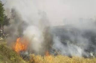 ਕਿਸਾਨਾਂ ਨੂੰ ਵੱਡਾ ਝਟਕਾ! 275 ਏਕੜ ਤੋਂ ਵੱਧ ਕਣਕ ਦੀ ਫ਼ਸਲ ਸੜ ਕੇ ਸੁਆਹ, ਸਰਕਾਰ ਤੋਂ ਮੁਆਵਜ਼ੇ ਦੀ ਮੰਗ