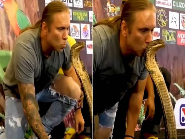 USA Wildlife expert Man kissing king cobra from behind goes viral in social media Watch video: ராஜ நாகத்தை பின்னால் இருந்து முத்தமிடும் நபர்.. அடுத்து நடந்தது என்ன?- வைரல் வீடியோ !