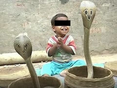 Srikakulam: పాములతో దోస్తీ, అనకొండలతో ఆటలు - జీవితమంతా కాలనాగులతోనే