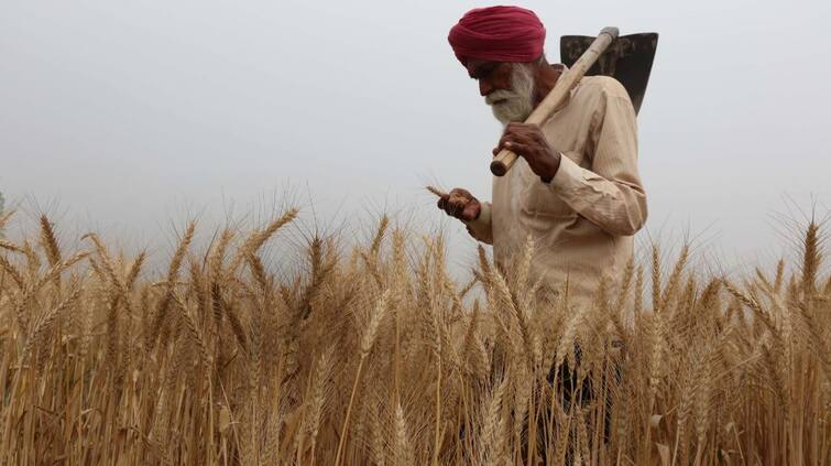 People above 60 years of age will get pension every month under PM Kisan Sanman Nidhi Scheme ਹੁਣ 60 ਸਾਲ ਤੋਂ ਵੱਧ ਉਮਰ ਦੇ ਲੋਕਾਂ ਨੂੰ ਮਿਲੇਗੀ ਹਰ ਮਹੀਨੇ ਪੈਨਸ਼ਨ, ਖਾਤੇ 'ਚ ਆਉਣਗੇ ਹਜ਼ਾਰਾਂ ਰੁਪਏ, ਜਾਣੋ ਪੂਰੀ ਪ੍ਰਕਿਰਿਆ