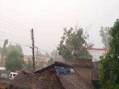 Chhattisgarh News: बस्तर में बदला मौसम का मिजाज, ओलावृष्टि में हुए दर्जनों पेड़ धराशायी, फसल को हुआ भारी नुकसान