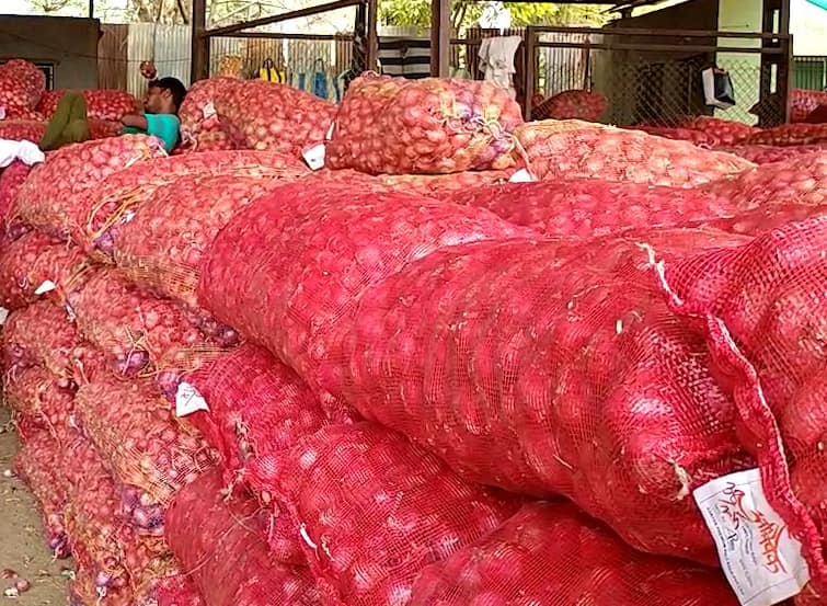 Onion Rate Issue Onion prices less due to rising import Maharashtra farmers Onion Rate Issue : 100 रुपयांना 100 किलो! आवक वाढत असल्यानं कांद्याचे दर गडगडले, शेतकरी हवालदिल