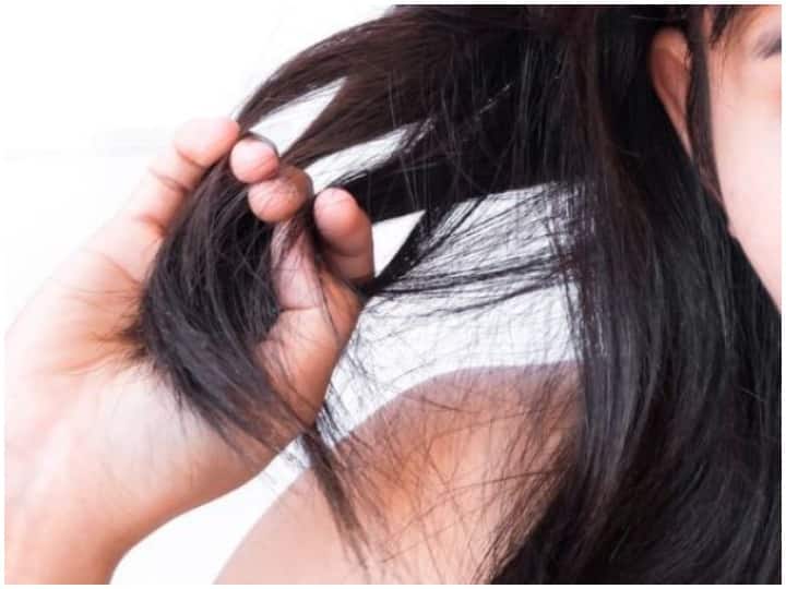 गर्मी में बालों को डैमेज होने से बचाएं, फॉलो करें ये आसान से टिप्स