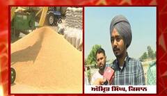 Kurali ਮੰਡੀ ਤੋਂ abp ਸਾਂਝਾ ਦੀ Ground Report, ਕਣਕ ਦੀ ਖਰੀਦ 'ਚ ਕੀ ਪੇਸ਼ ਆ ਰਹੀਆਂ ਮੁਸ਼ਕਲਾਂ?