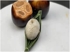 Apple Sorbet Recipe: கொளுத்தும் வெயிலுக்கு குளு.. குளு. நுங்கு ஐஸ் கிரீம்! எப்படி செய்வது? ரெசிபி!