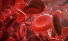 Haemophilia Symptoms: নিরাময় নেই কোনও, বংশানুক্রমেই শরীরে বাসা বাঁধে হিমোফিলিয়া