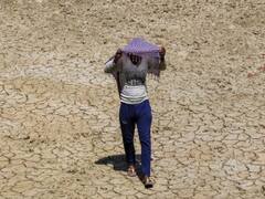 Rajasthan Weekly Weather Forecast: राजस्थान में आज से गर्मी की लहर और होगी तेज, जानें- इस हफ्ते के मौसम का हर अपडेट