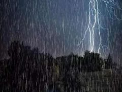 ਫਿਰੋਜ਼ਪੁਰ 'ਚ ਬਾਰਸ਼ ਨੇ ਕਿਸਾਨ ਦੇ ਸੁਕਾਏ ਸਾਹ, ਕਣਕ ਦੀ ਫਸਲ ਭਿੱਜੀ