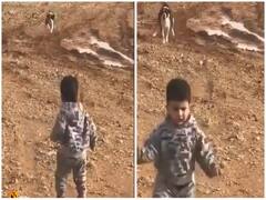 अपनी मस्ती में जा रहे बच्चे का कुत्ते से पड़ा पाला, फिर जो हुआ उसे देख नहीं रुकेगी आपकी हंसी