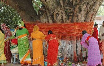 Religious: હિન્દુ ધર્મમાં સૌથી વધારે મહત્વ ધરાવે છે આ વૃક્ષો, લોકો કરે છે પૂજા Religious: હિન્દુ ધર્મમાં સૌથી વધારે મહત્વ ધરાવે છે આ વૃક્ષો, લોકો કરે છે પૂજા