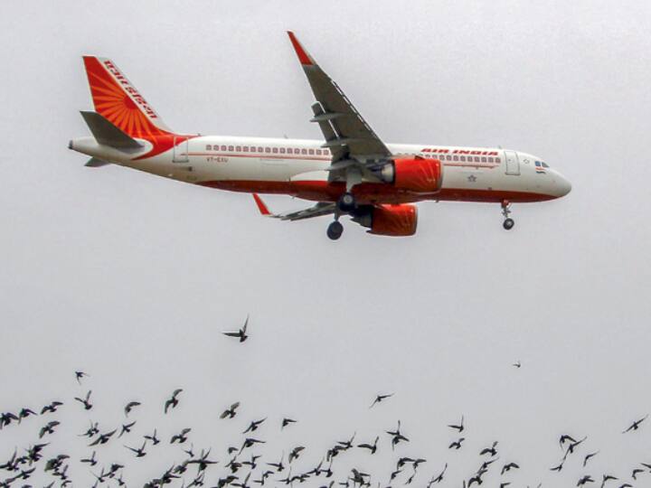 Air India To Cancel Flights To And From Hong Kong On Request Of Chinese Authorites Due To Covid-19 Air India Cancels Flights To Hong Kong Due To Covid Restrictions Amid Rise In Cases