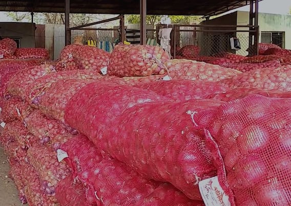 कांद्याचे भाव उतरल्यानं शेतकऱ्यांच्या डोळ्यात पाणी