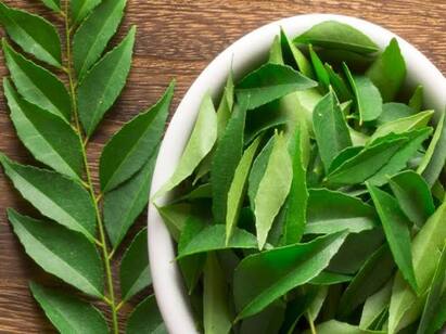 Curry leaves health benefits in Tamil சாப்பிடும்போது கறிவேப்பிலையை ஒதுக்குபவர்களா நீங்க இத மிஸ் பண்ணாம படிங்க...!