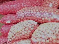 Onion : कांद्याचे भाव उतरल्यानं शेतकऱ्यांच्या डोळ्यात पाणी; आवक वाढत असल्यानं कांद्याचे दर गडगडले