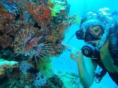 PHOTO : मालदीव सफरीमध्ये सोनाक्षीचे नवे मित्र! फोटो शेअर करत म्हणाली...