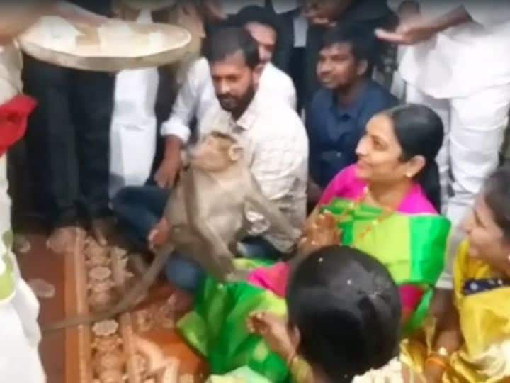 Monkey blessed by Minister Usha Sri Charan video viral Viral Video: మంత్రి ఉష శ్రీ చరణ్‌ను ఆశీర్వదించిన వానరం- వైరల్‌గా మారిన వీడియో