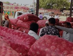 Onion : कांद्याचे भाव उतरल्यानं शेतकऱ्यांच्या डोळ्यात पाणी; आवक वाढत असल्यानं कांद्याचे दर गडगडले