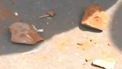 जहांगीरपुरी हिंंसा 2022: जांच करने गई Crime Branch की टीम पर किया गया हमला, देखें ये अपडेट