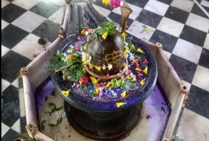 સોમવારે ભગવાન ભોલેનાથને અક્ષત, ચંદન, ધતુરા, દૂધ, ગંગાજળ અને બેલના પાન વગેરે અર્પણ કરવા જોઈએ. આનાથી ભગવાન શિવ પ્રસન્ન થાય છે અને પોતાના શુભ આશીર્વાદ આપે છે